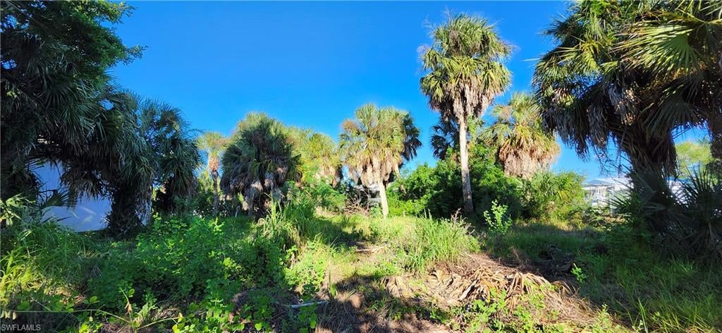 CHARLOTTE PARK - Land