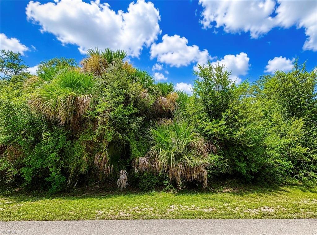 Best-priced BUILDABLE HALF-ACRE property on a PAVED STREET with utilities available in Lehigh Acres! Nestled away on a quiet street surrounded by magnificent homes, this spacious homesite offers an outstanding opportunity to build your dream home or secure a valuable investment for the future. Enjoy plenty of room to create the property you’ve envisioned while being part of an attractive residential setting. Exceptional value for a half-acre homesite—don’t miss this opportunity. Call today!