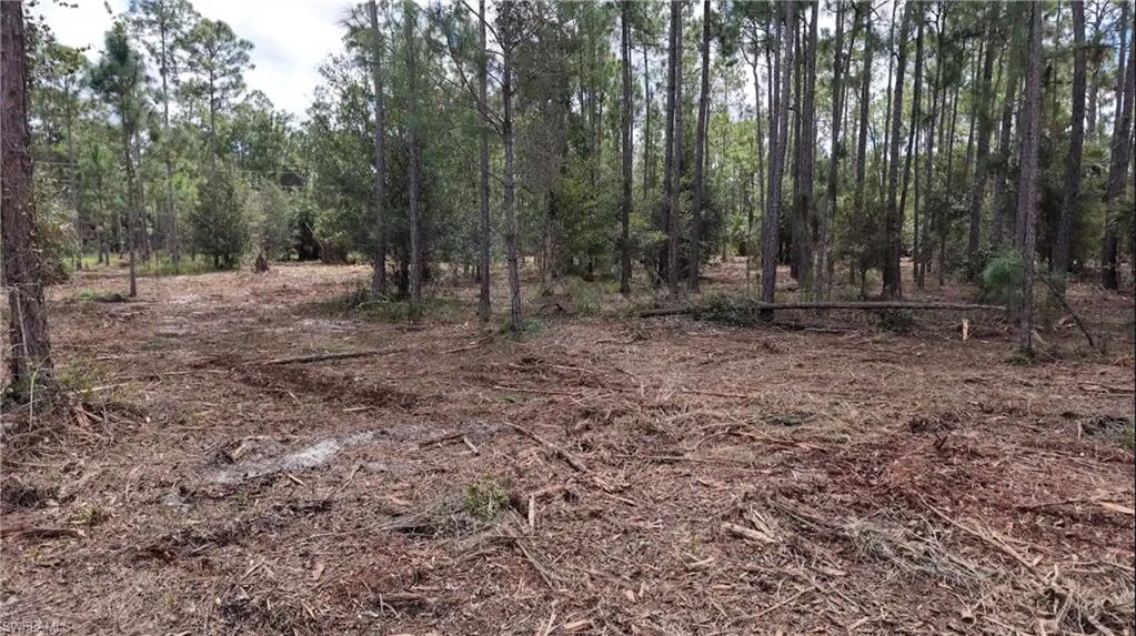 PIONEER PLANTATION - Land