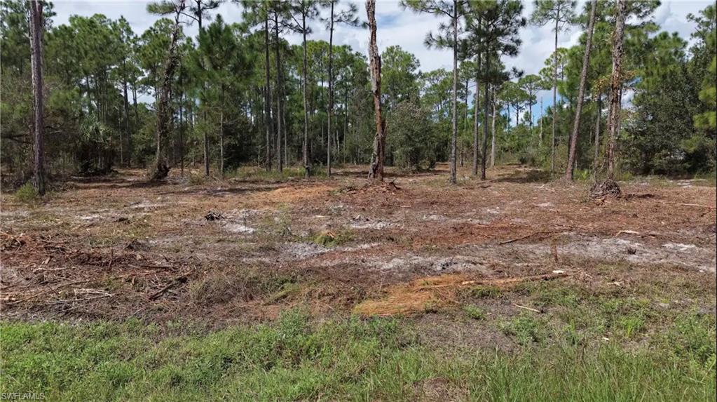 PIONEER PLANTATION - Land