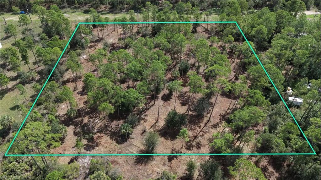 PIONEER PLANTATION - Land