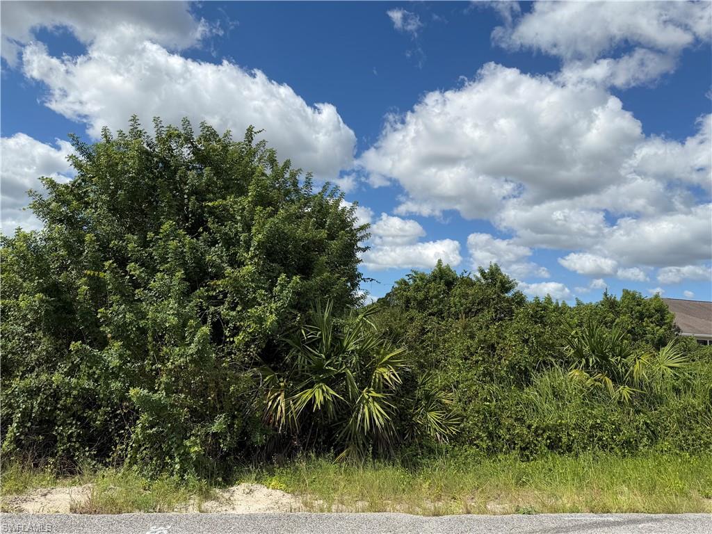 LEHIGH ACRES - Land