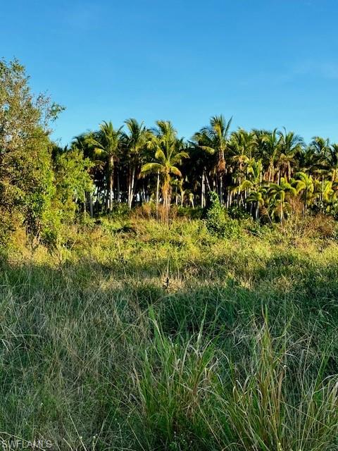 KREAMERS AVOCADO SUBD - Land