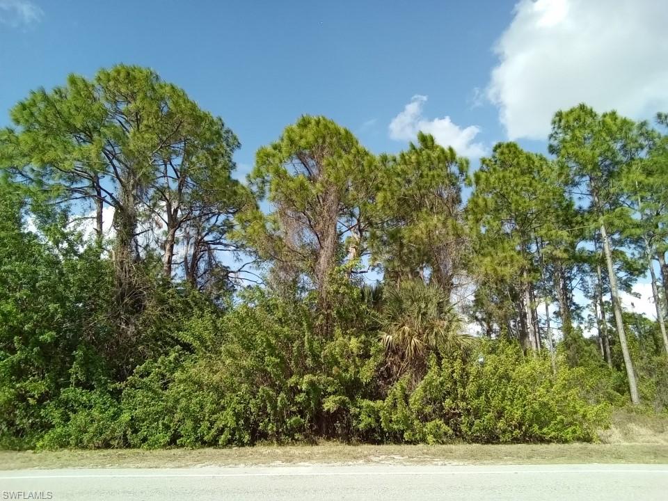 LEHIGH ESTATES - Land