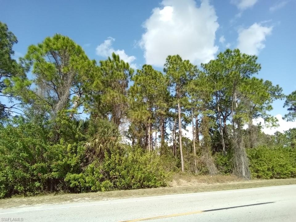 LEHIGH ESTATES - Land