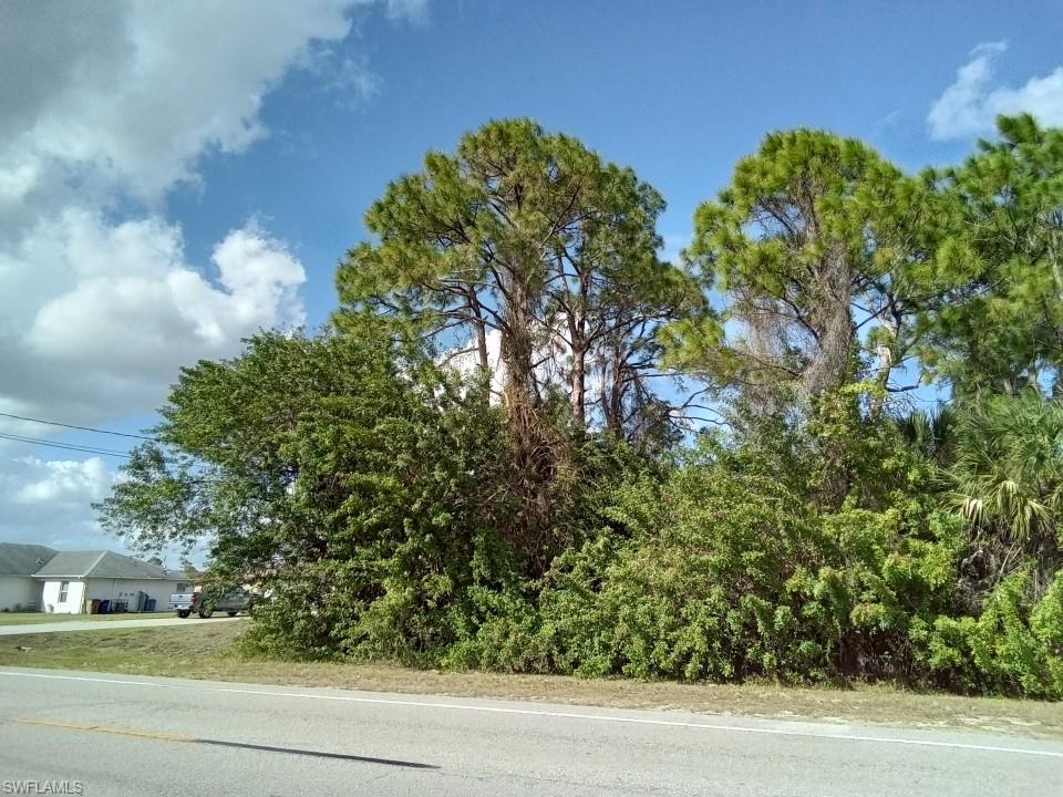 LEHIGH ESTATES - Land
