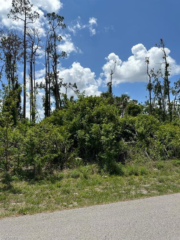 Build your dream home on this residential building lot in this growing area of Port Charlotte. This is a 9,999-square-foot lot. Highly desirable, especially when it is time to build. Located in a quiet neighborhood in Port Charlotte with electricity nearby and public water, near Charlotte Beach Park, Charlotte Harbor, the Peace River, the Myakka River, and historic downtown Punta Gorda. Whether you are planning a