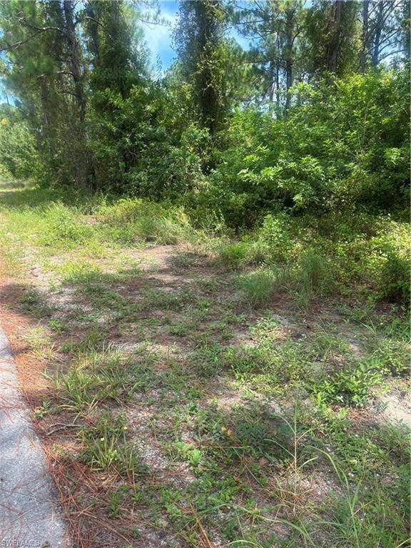 LEHIGH ACRES - Land