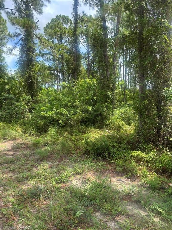 LEHIGH ACRES - Land