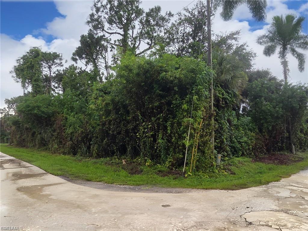 PALMONA PARK - Land
