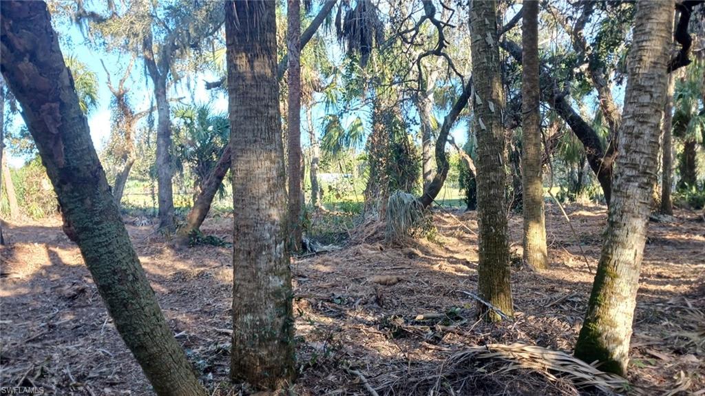NORTH FORT MYERS - Land