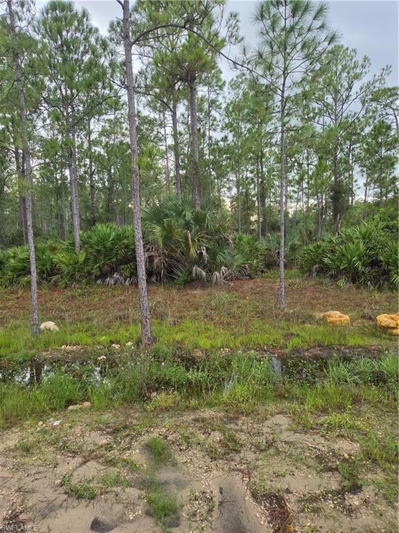 HALF-ACRE ALVA HOMESITE NEAR THE MARINA & FRANKLIN LOCKS!
  Discover the possibilities with this spacious vacant lot in beautiful Alva, Florida. This property offers plenty of room 
to build your dream home while enjoying the peaceful country lifestyle and the natural beauty of Southwest Florida. 
This area is appealing to boaters, fisherman and outdoor enthusiasts. Bring your boat ,jet skis, RV or recreational equipment and take advantage of the space a half-acre property provides. There is room to create your own private retreat with a custom home, detached garage, work shop, quest space, garden or outdoor entertaining area! Enjoy the quiet surroundings while remaining conveniently close to schools, churches, restaurants, shopping and major roadways! EXPLORE THE POSSIBILITIES AND START PLANNING YOUR FLORIDA DREAM HOME! Lot adjacent to 2311 is for sale as well. Buy both for your full acre!!!
