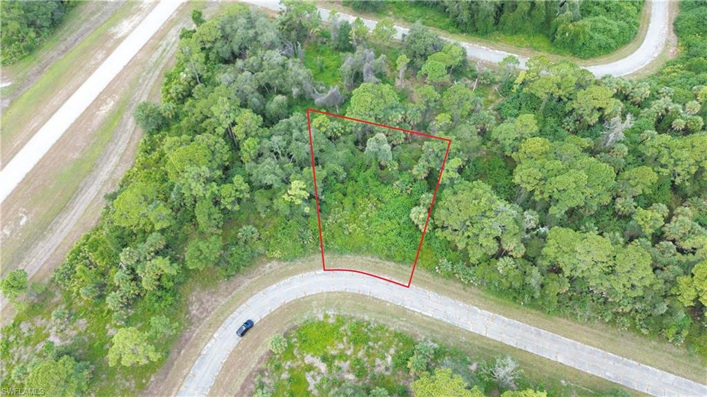 0.30 of an acre in Banyan Village. Up and coming growing community. Will need septic and electric hookup. Fiber Optic High Speed available to residents. New Homes being built in this community right of St Rd 80 between the City of Clewiston and LaBelle in Hendry County. A NO HOA community. Take advantage of these low prices. Great for a starter home, second home or to add to your investment portfolio. Title insurance available and a Tax Deed Search Certificate issued. Seller is offering financing with only $5,000.00 down for 12 mos. at 12% interest with $1,377.00 monthly payments.