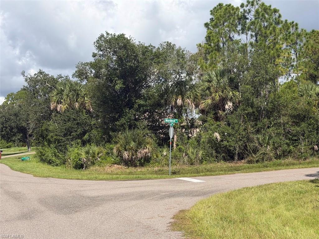Build Your Florida Dream Home on This Corner Lot!

?Great opportunity to own a corner lot in a rapid growing area of Port Charlotte. This vacant residential parcel offers a convenient corner location with added flexibility for future home placement and access. Located in a growing Port Charlotte area, the property provides an excellent opportunity for homeowners, builders, or investors looking to secure land in Southwest Florida. Whether you're planning to build your Florida home or looking for a land investment, this corner parcel is worth considering. Seller has multiple lots for a package deal.