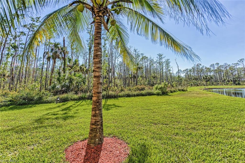 ALBERI ACQUA - Residential Lease