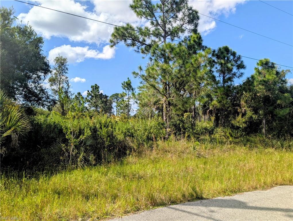 Wonderful lot near beautiful Buckingham!! This oversized 0.30 Acre lot is in a highly desired area on a very private street! This property would be PERFECT for your new home or building investment!! Great area with many newer builds! Check out this property TODAY!