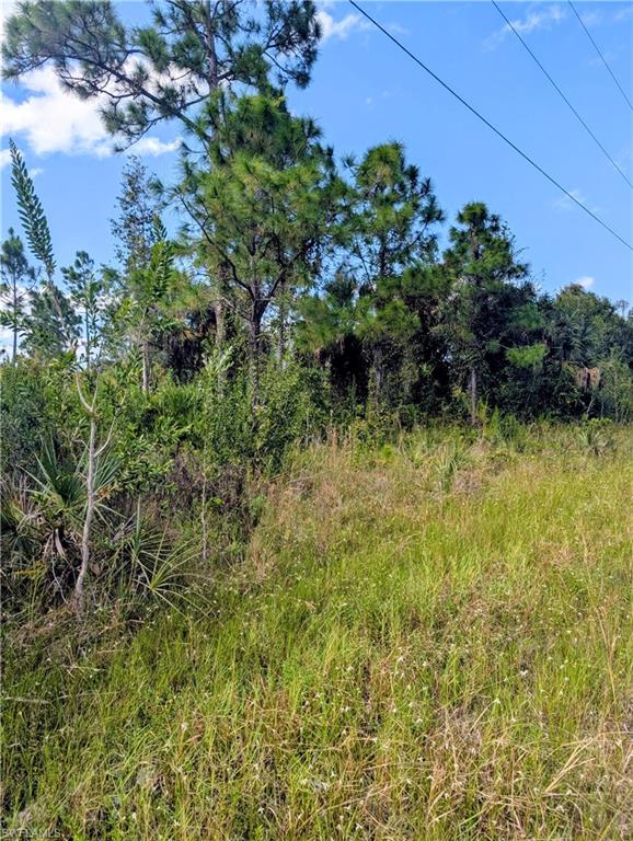 LEHIGH ACRES - Land