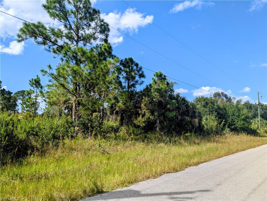 LEHIGH ACRES - Land