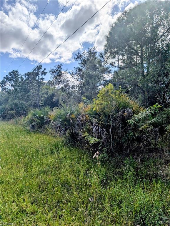 LEHIGH ACRES - Land