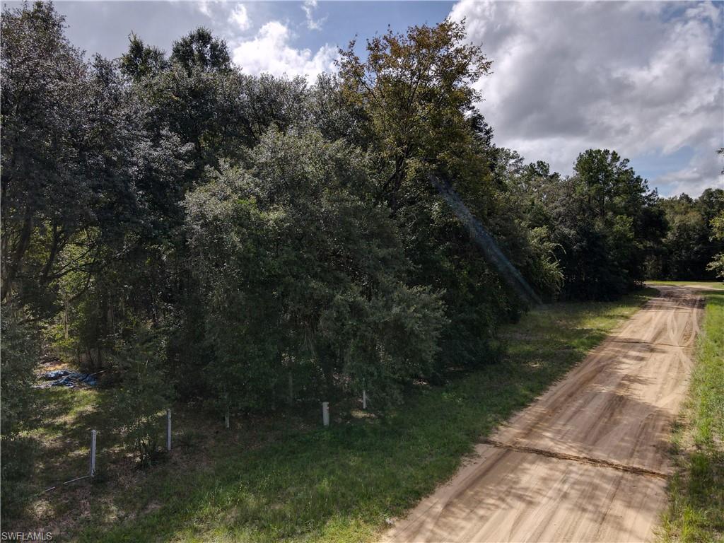 ACREAGE - Land