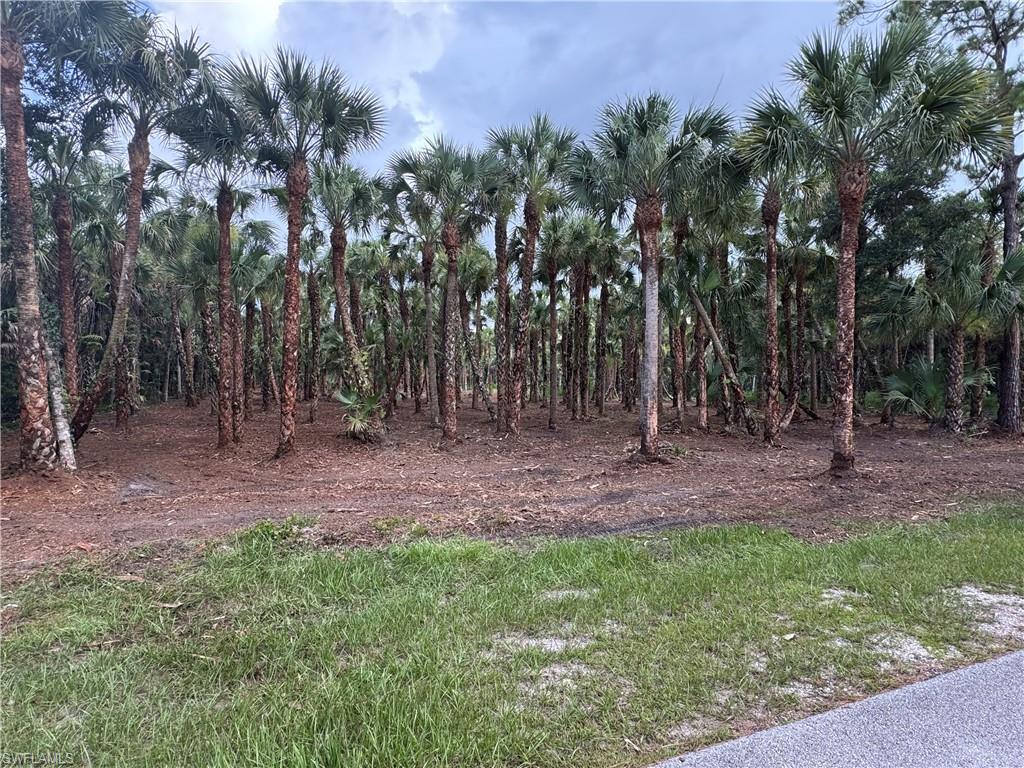 WILSON WOODS....one street from the new incredible Vanderbilt Rd. The lot has many natural sable palms. Ready to build your new dream home. The 2.73 acre lot directly next to this lot is available for sale separately and could make a family compound.  Easy access to downtown, Naples Beaches, Shopping, and I-75 to Ft Myers Airport or Miami.