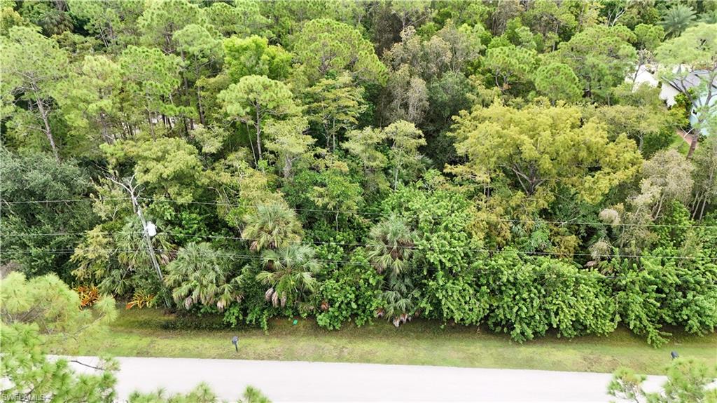 SAN CARLOS ESTATES - Land