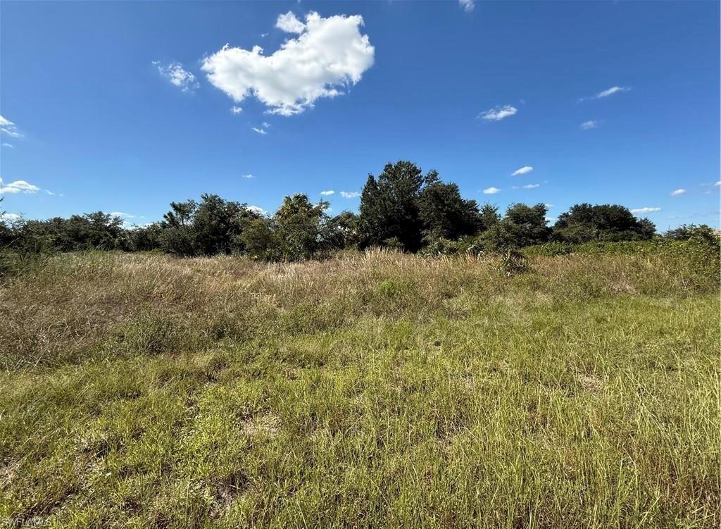 This well positioned vacant 1/4 acre lot is the perfect opportunity for you to build your dream home. This nearly cleared property offers the flexibility to create a custom single-family residence with a spacious layout, a backyard retreat and a private pool to soak up the Florida sunshine. Situated in a growing area, this lot offers a peaceful setting while still providing convenient access to shopping, dining, RSW International Airport, Jet Blue Park, FGCU and essential services. Whether you're a future homeowner, snowbird or investor this lot provides the perfect opportunity to turn your vision into reality!
