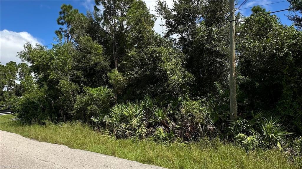 LOCATION LOCATION.. DUPLEX LOT! CLOSE TO EVERYTHING. I-75, SR 82. SURVEY AVAILABLE. READY TO BUILD!