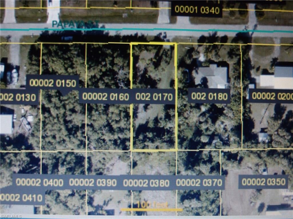 Partially cleared lot on paved road close to restaurants, boat ramps and nature preserves. Adjacent lot is also available for purchase offering the option for additional privacy.