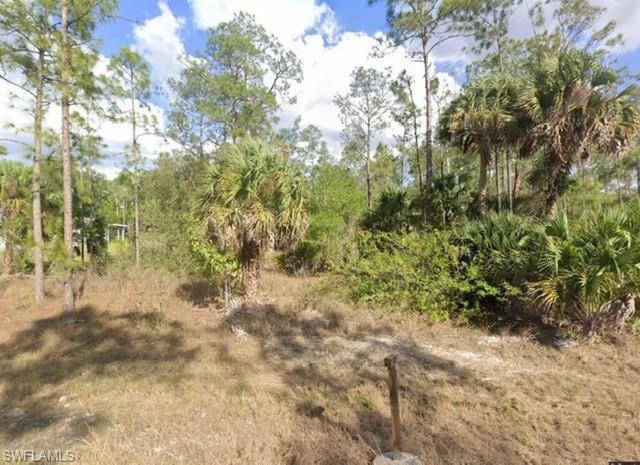 LEHIGH ACRES - Land