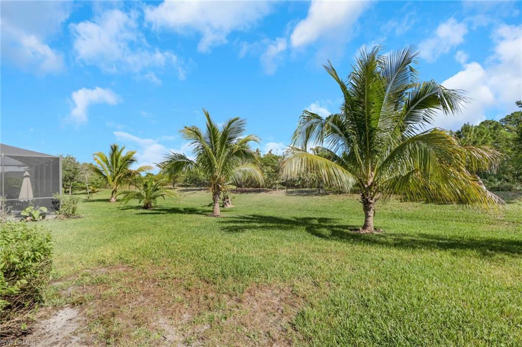 ORANGE BLOSSOM RANCH - Residential