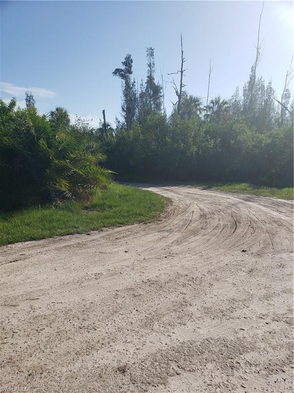 Create your private retreat area. Attention, Nature conservators, Land Bankers, Land mitigation asset comptrollers. Almost 10 acres of Pristine Virgin Pine Island acres near open water on offer for your consideration.(in the Master's Landing vicinity) Address not yet determined Approximate measurement is as follows:328' x 1369' x 328' x1368'
