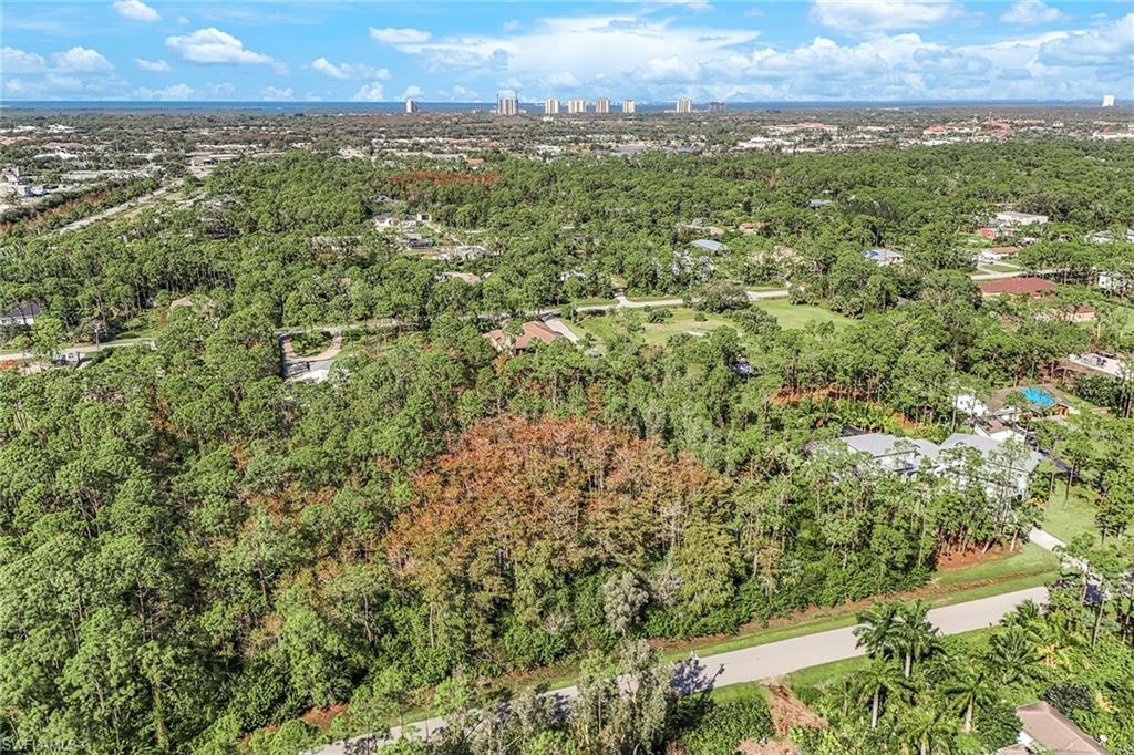 Discover an exceptional opportunity to own 1.25 acres in the heart of Bonita Springs, tucked away on a serene and picturesque street. In sought-after San Carlos Estates, this lot is surrounded by luxury, multi-million-dollar homes, lush natural landscapes and vibrant wildlife. Enjoy the convenience of being just minutes from local shops and fine dining, Bonita Beach, Southwest Florida International Airport and ideally between U.S. 41 and Interstate 75, offering seamless access north and south. With no HOA fees or restrictions, this beautiful property provides freedom to create a lifestyle you envision. Take advantage of this opportunity to own prime real estate in one of Southwest Florida's sought-after locations.