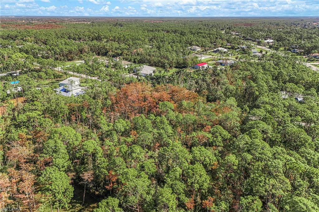 SAN CARLOS ESTATES - Land