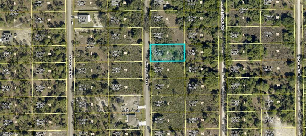 LEHIGH ACRES - Land