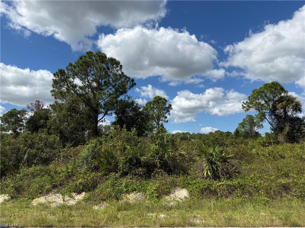LEHIGH ACRES - Land