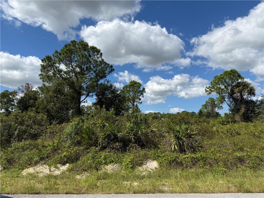 LEHIGH ACRES - Land