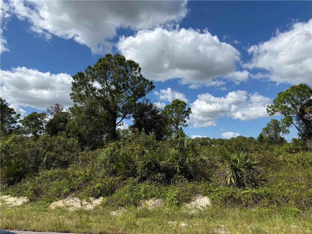Half acre lot available for sale. Build your own dream home to suit your specific needs. Lot 1209 Plumosa is also available for sale and can be purchased together or separately. Located close to shopping, stadiums and the airport.