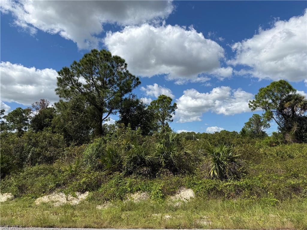 LEHIGH ACRES - Land