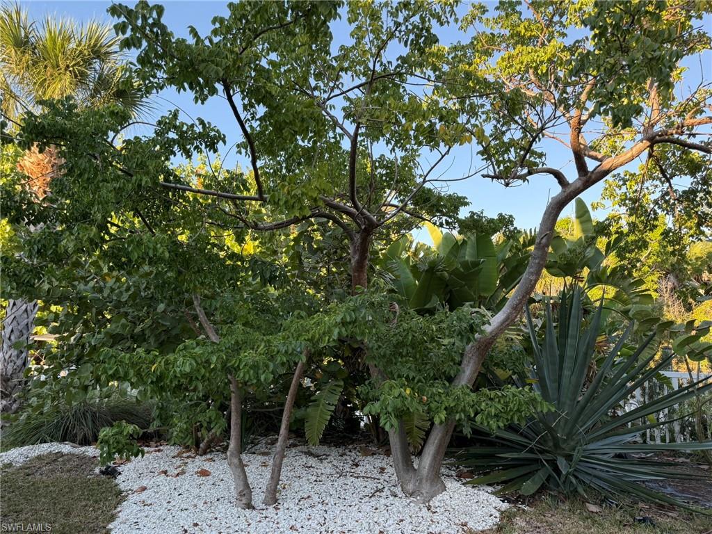 CAPTIVA PALMA UNRECORDED SUBDIVISION - Residential