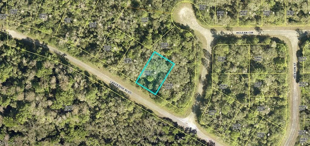 This buildable lot is perfectly located in the repidly growing, highly desirable Greenbriar neighborhood. No HOA's. Easy access to Joel Blvd., Palm Beach Blvd., Caloosahatchee River, Franklin Lock Park and boat launch, schools, churches, restaurants, shopping and the beaches of the Gulf Coast. Come and enjoy all that sunny SW Florida has to offer.