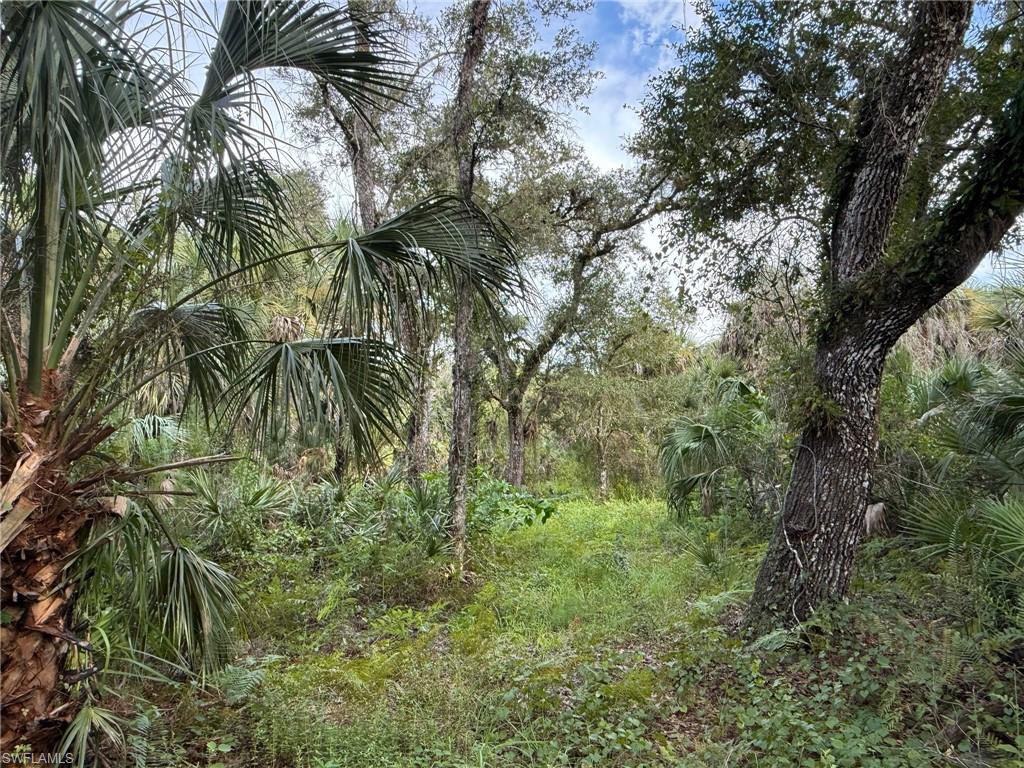 BIG CYPRESS GOLF COUNTRY CLUB - Land
