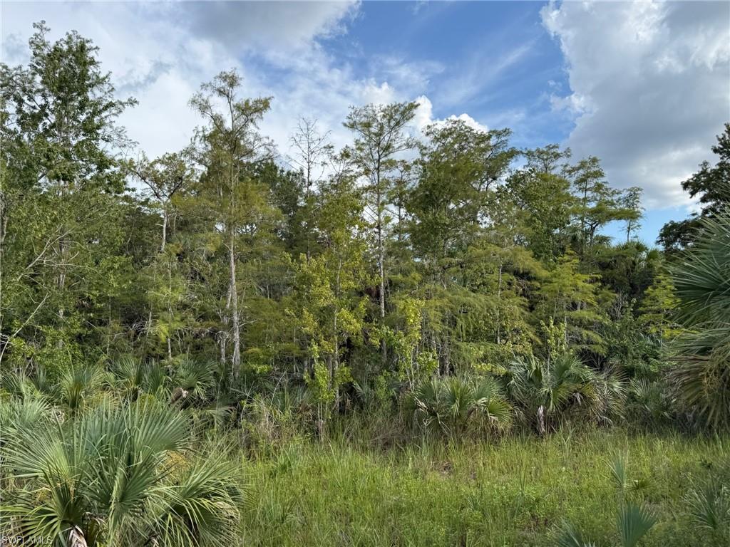 BIG CYPRESS GOLF COUNTRY CLUB - Land