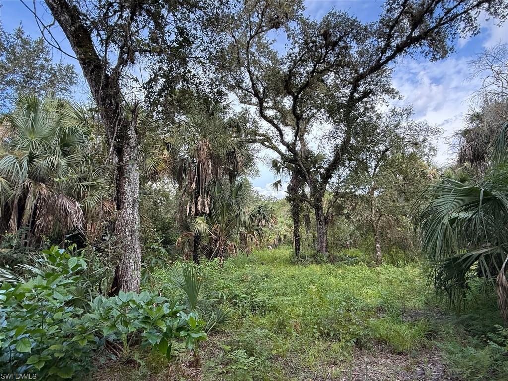 BIG CYPRESS GOLF COUNTRY CLUB - Land