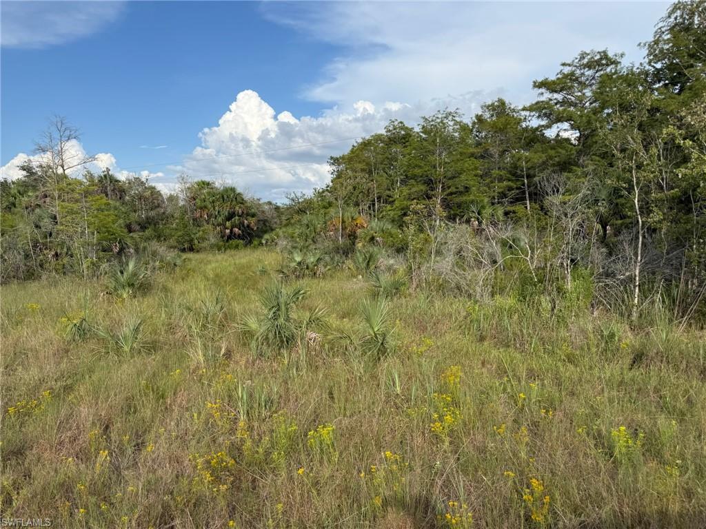 BIG CYPRESS GOLF COUNTRY CLUB - Land