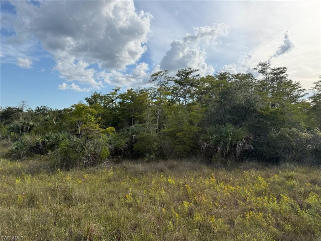 BIG CYPRESS GOLF COUNTRY CLUB - Land