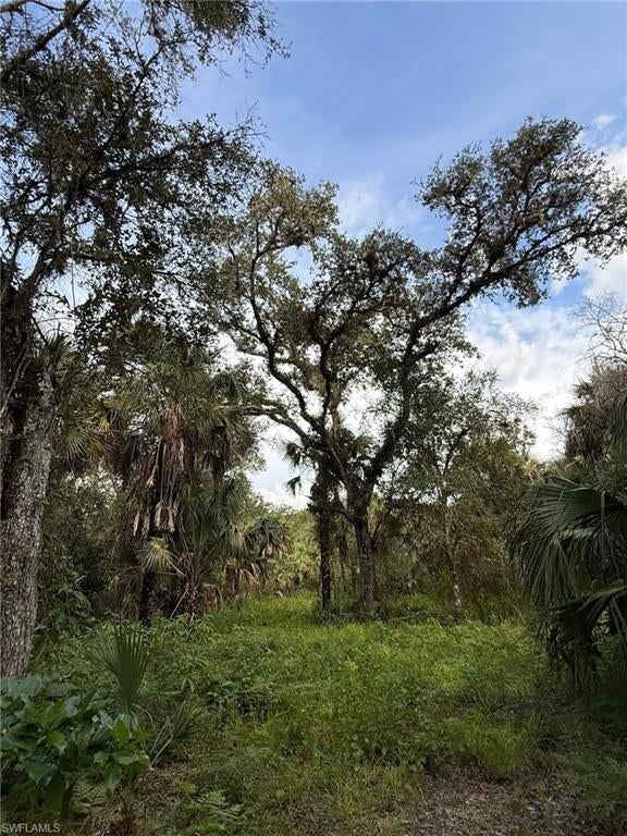 BIG CYPRESS GOLF COUNTRY CLUB - Land