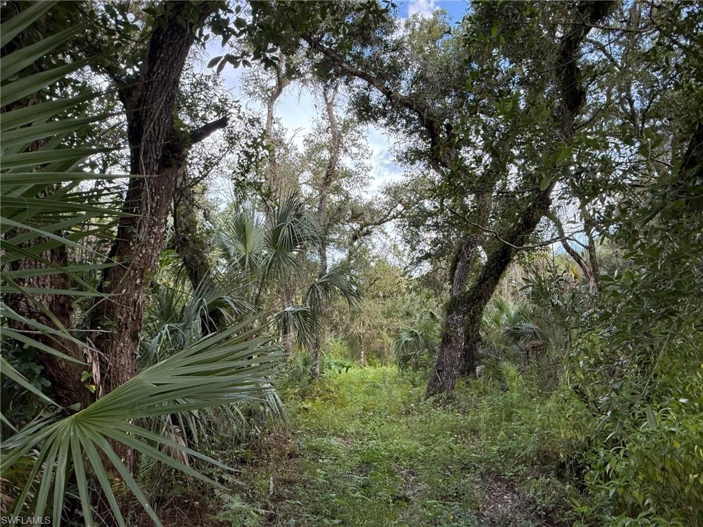 BIG CYPRESS GOLF COUNTRY CLUB - Land