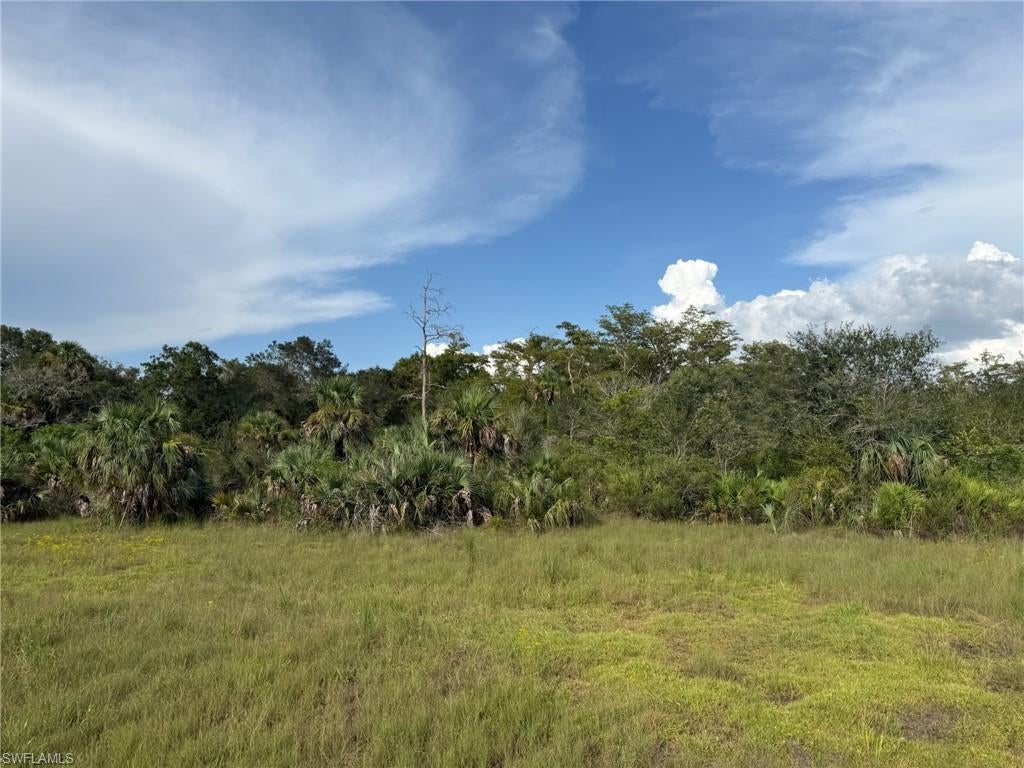 BIG CYPRESS GOLF COUNTRY CLUB - Land