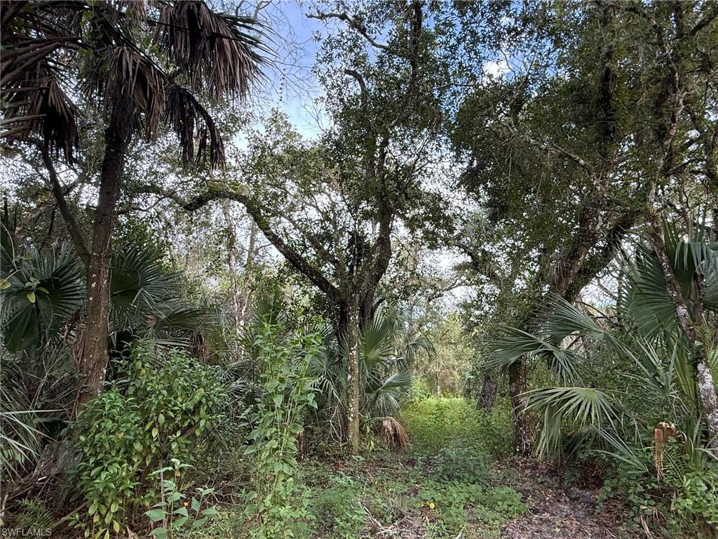 BIG CYPRESS GOLF COUNTRY CLUB - Land